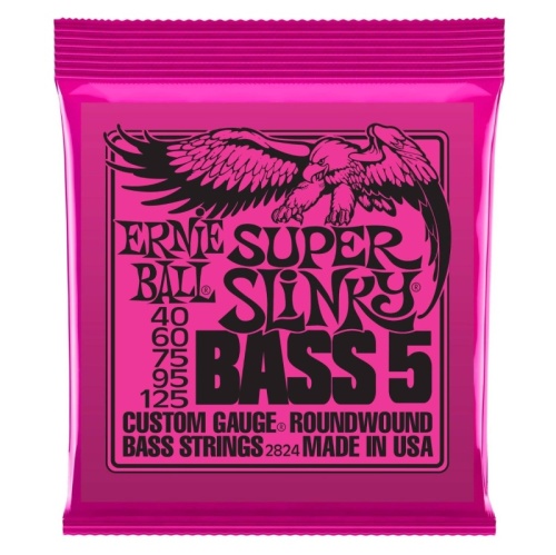 Ernie Ball 2824