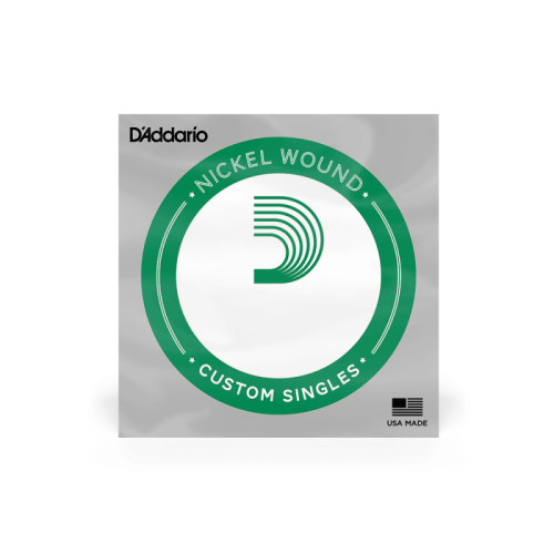 D`ADDARIO NW017