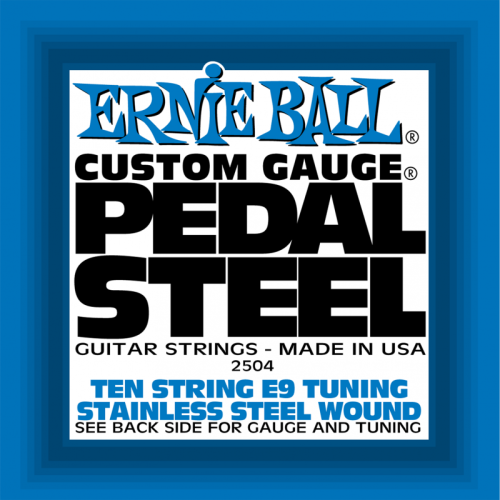 ERNIE BALL P02504